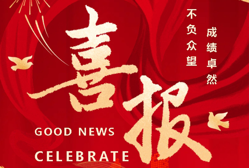 榮譽(yù)時(shí)刻 | 全盛機(jī)電榮獲?？低暋蹲罴逊?wù)獎(jiǎng)》殊榮